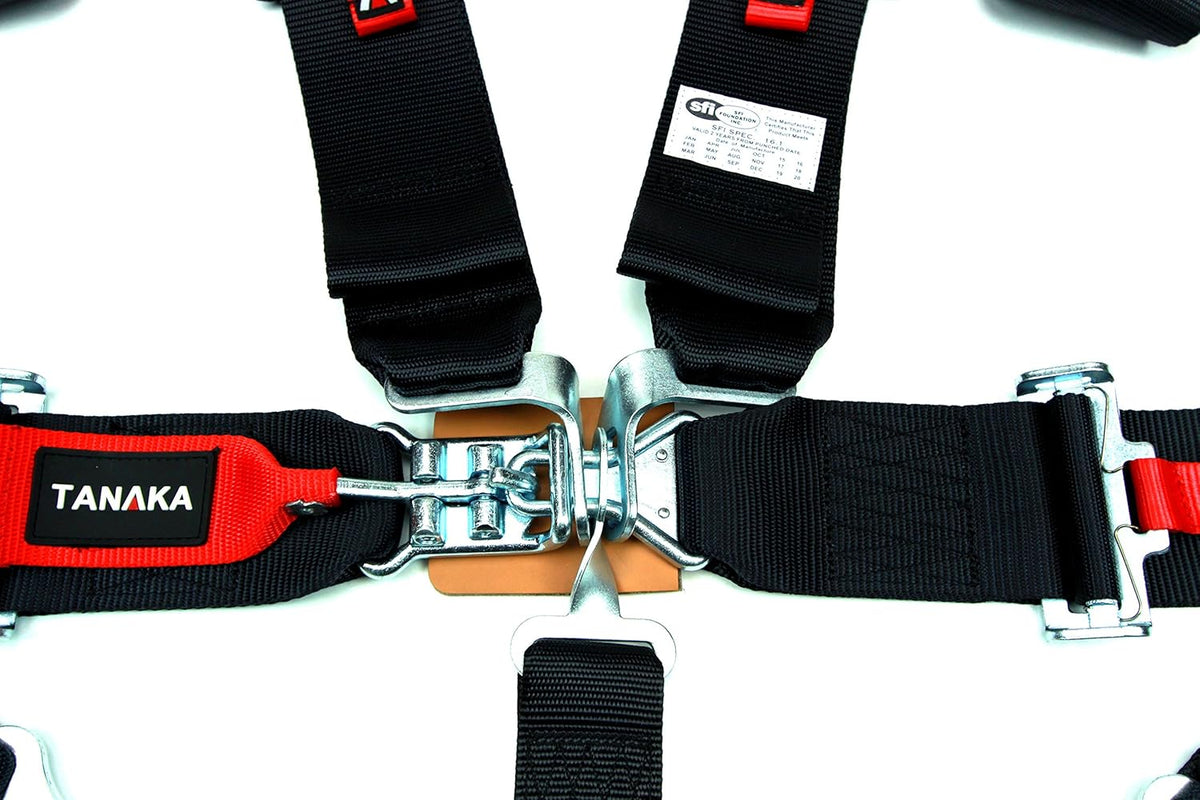 Black 5-Point Safety Harness Set with Shoulder Pads, Pack of 2 V3928