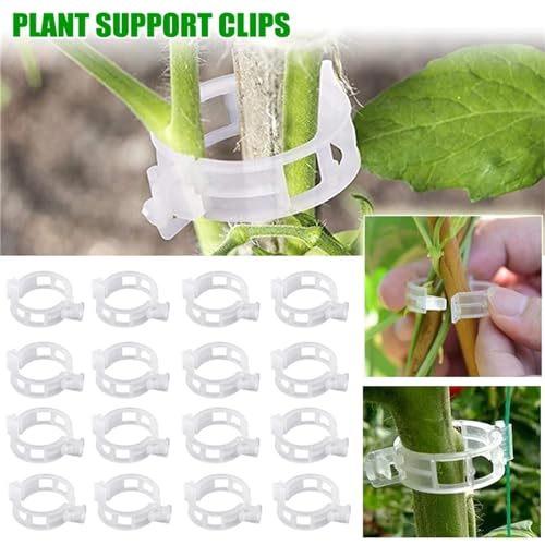 100Pcs Plant Support Clips M5086