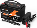 12V 100Ah LiFePO4 Battery with 20A Charger S4008