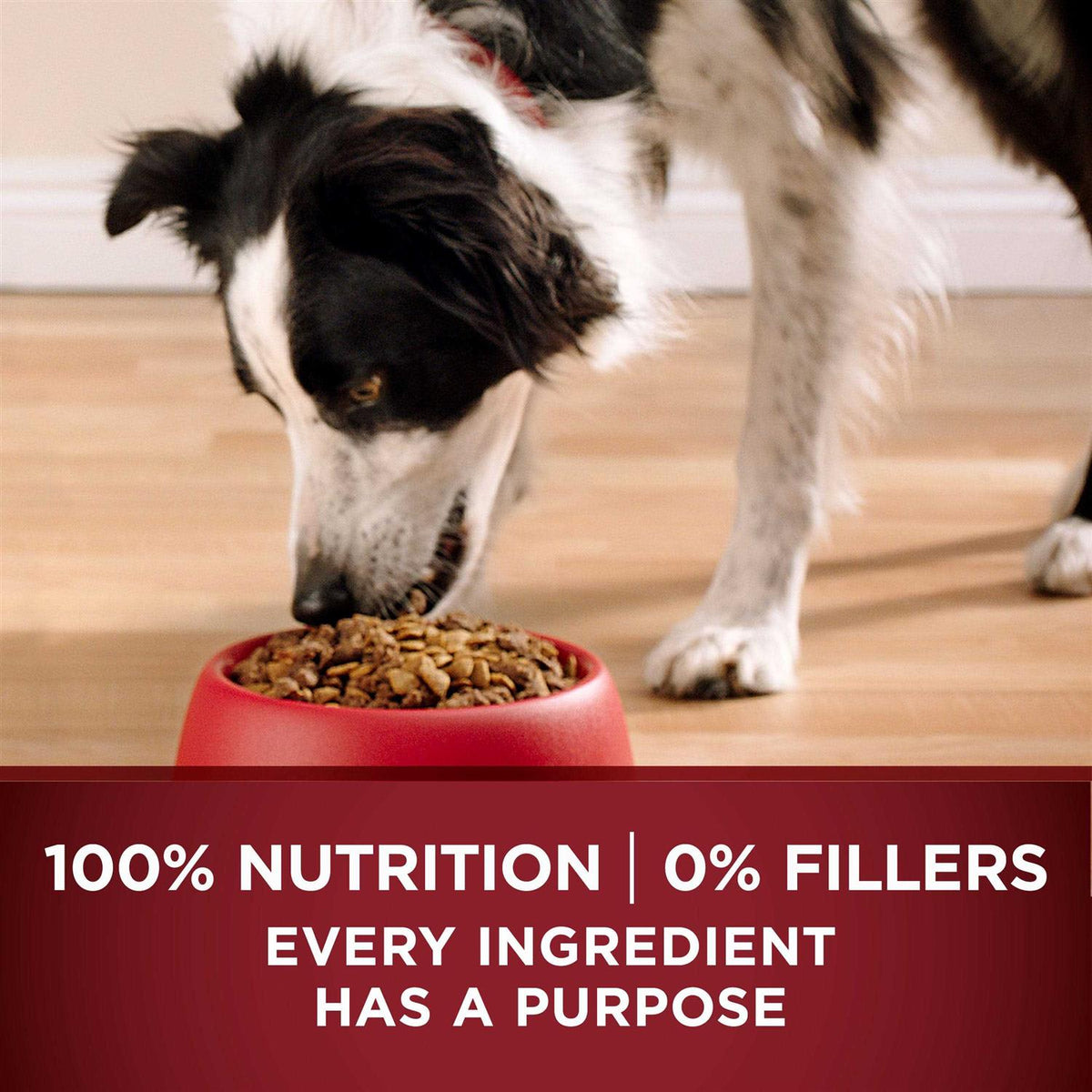 Grain Free Natural Dry Dog Food N925721