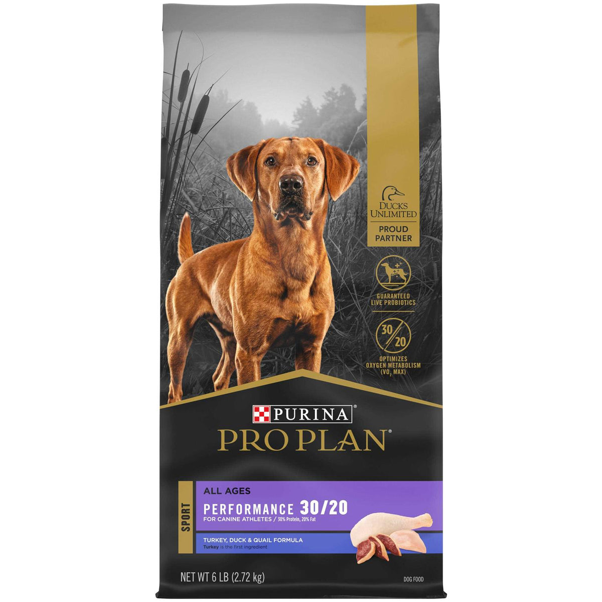 Dry Dog Food R43547