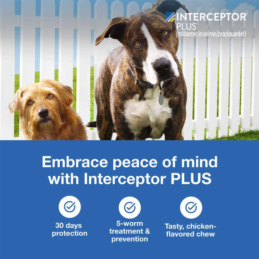 Interceptor Plus for Dogs Q3977