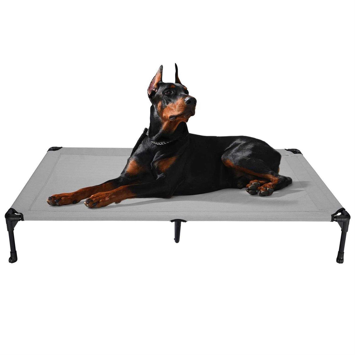 Elevated Dog Bed with Washable Mesh V46885