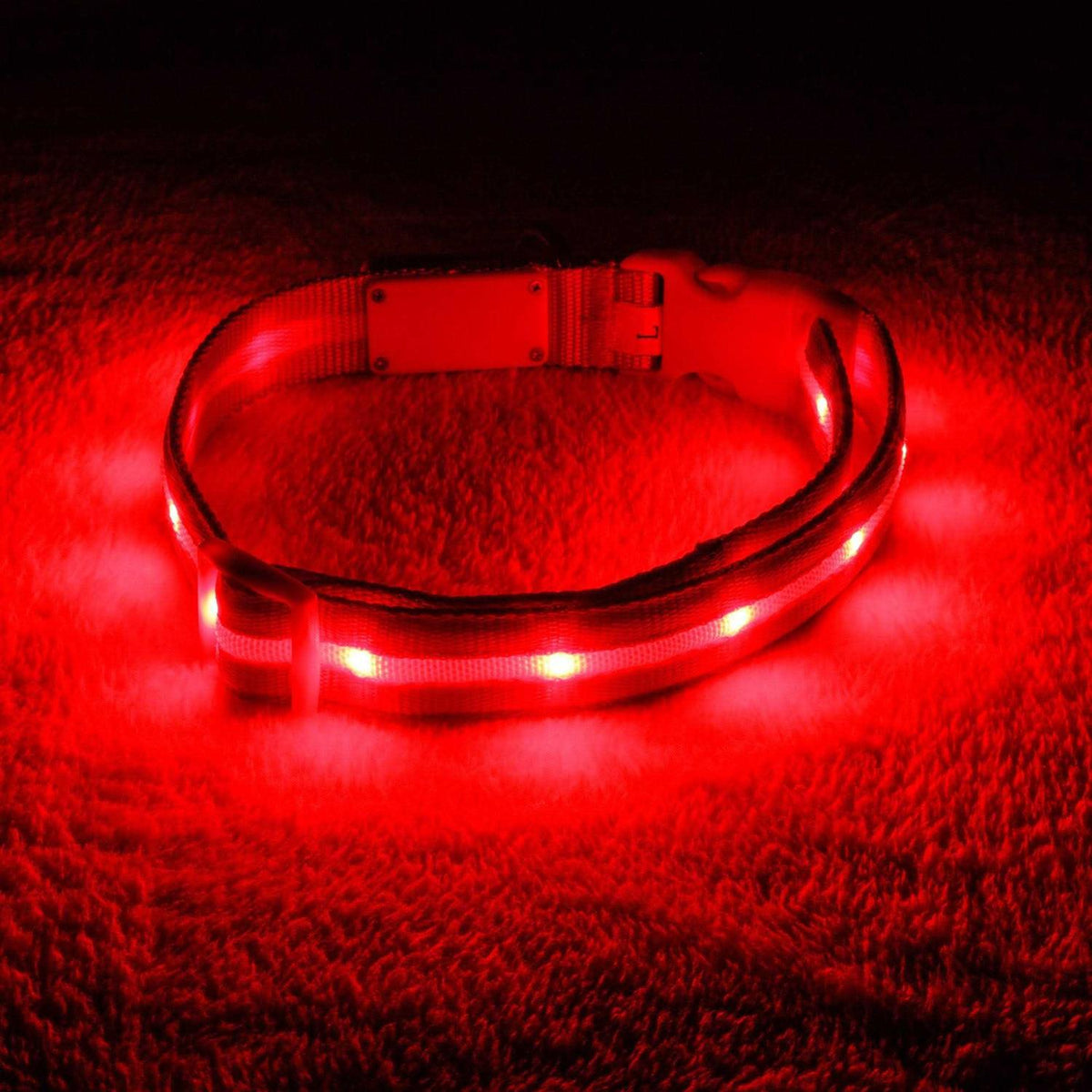 LED Light Up Dog Collar K331340