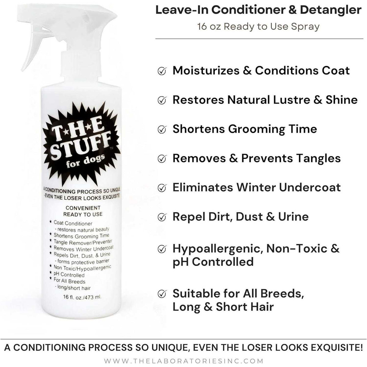 16oz Conditioner Detangler K19419