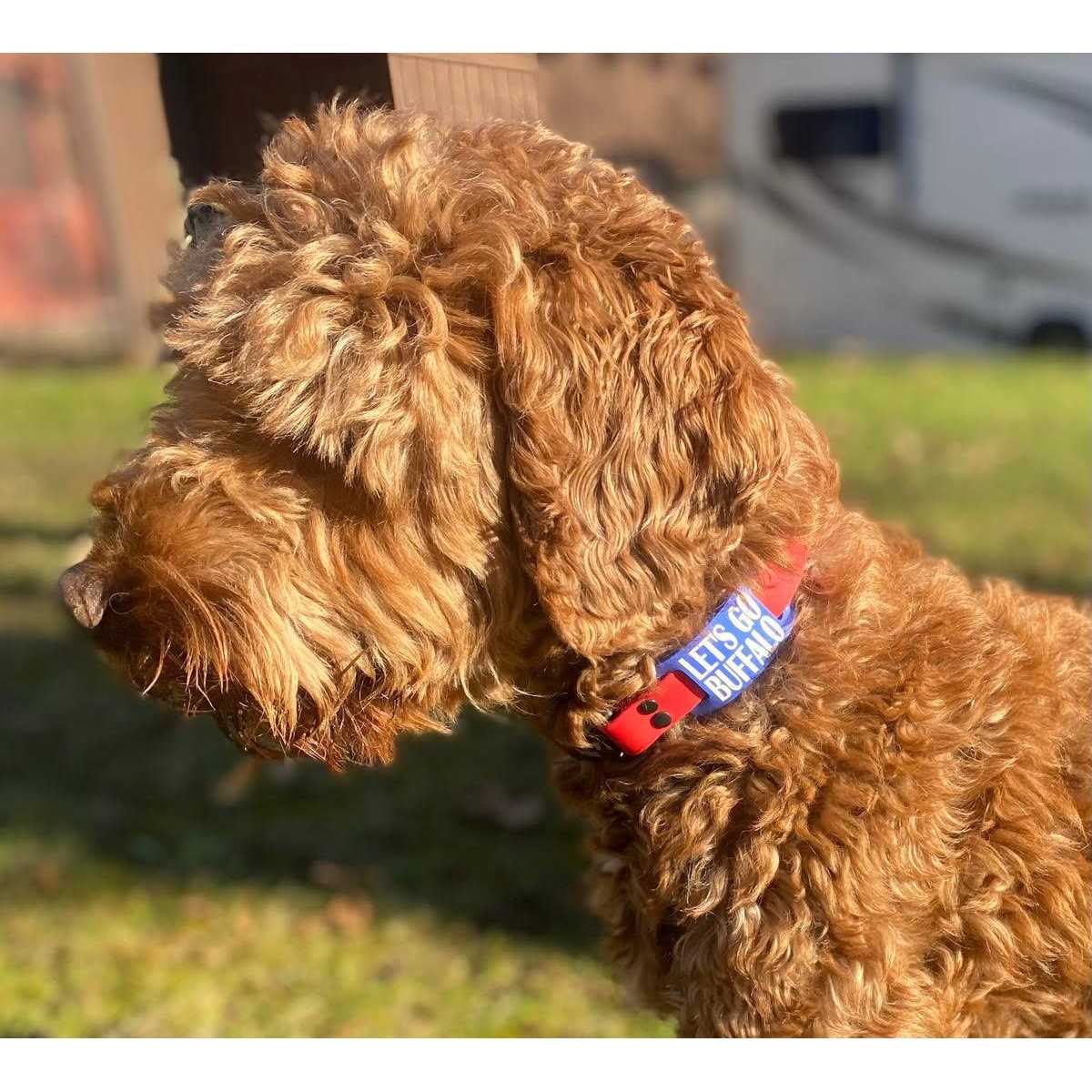 Silent Slide On Silicone Rubber Dog Collar Tag P897