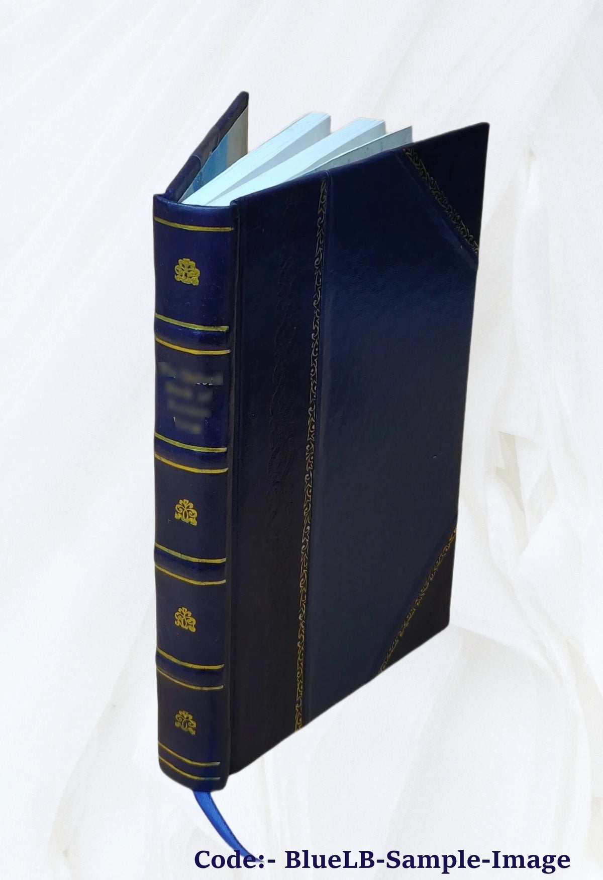 Leather Bound Book U2317