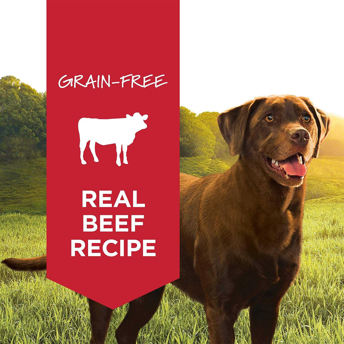 Grain-Free Beef Formula Canned Dog Food H900956