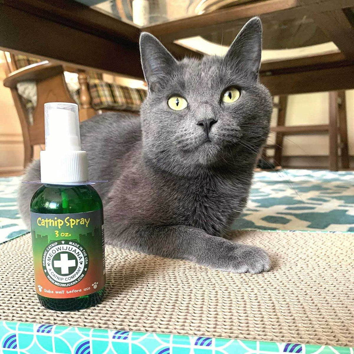 Catnip Spray D52501
