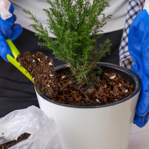 1qt Fast Draining Organic Potting Mix C84463