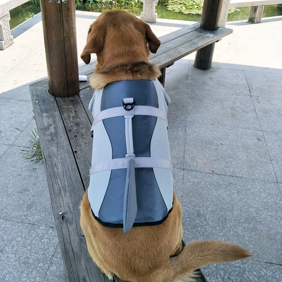 Dog Pet Shark Swimsuit Vest Safety Wear Y23088