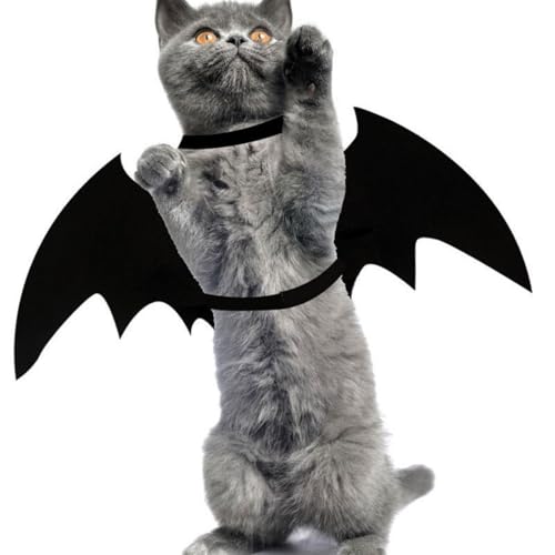 Halloween Pet Costume for Small Dogs & Cats, Lightweight Felt & Polyester, XL E340