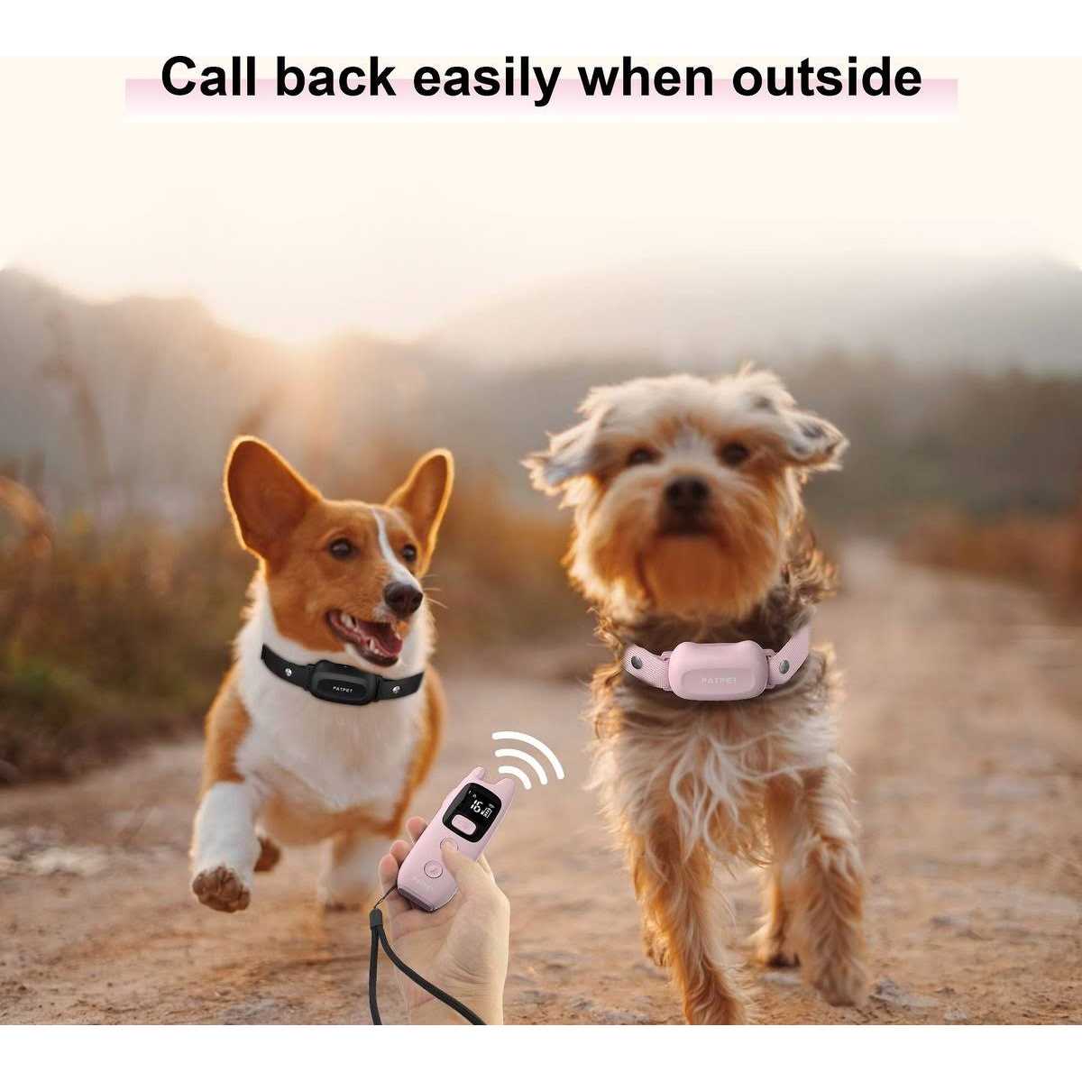 Remote Dog Training Collar I1816