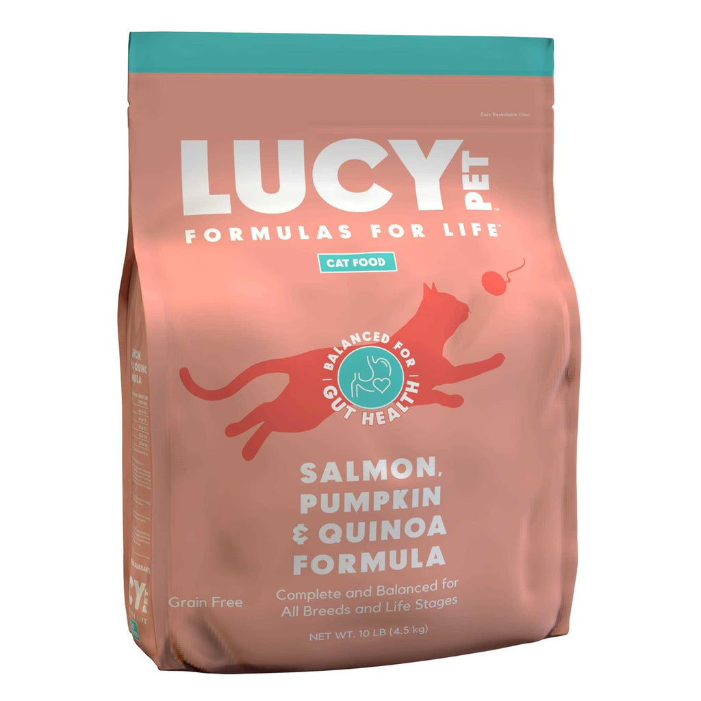 Dry Cat Food Salmon B2664