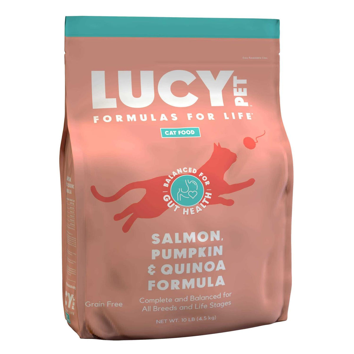 Dry Cat Food Salmon B2664