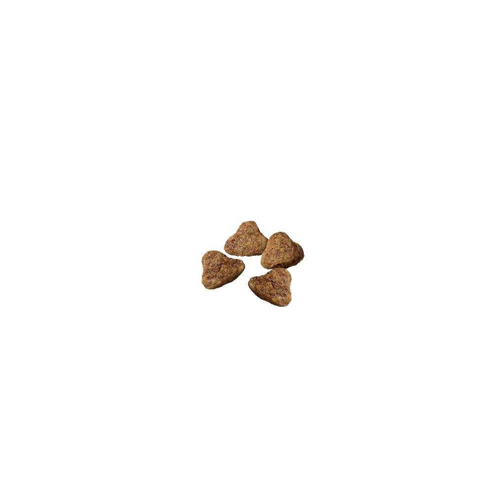 Dry Dog Food R43547