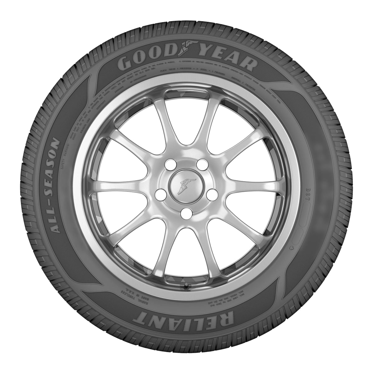 All-Season Tire 235/55R18 100V W461