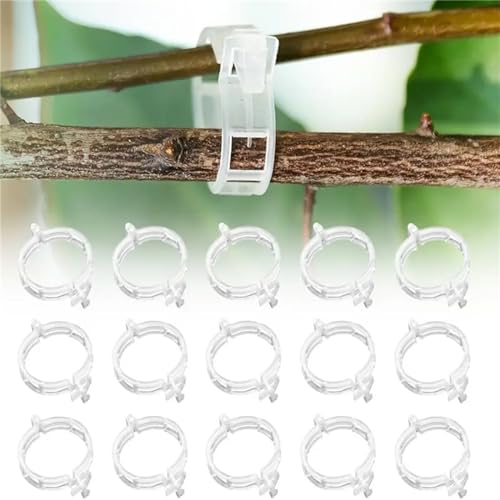 100Pcs Plant Support Clips M5086