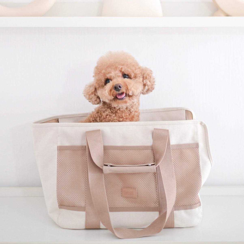 Canvas Lightweight Water Resistant Pet Carrier B296965