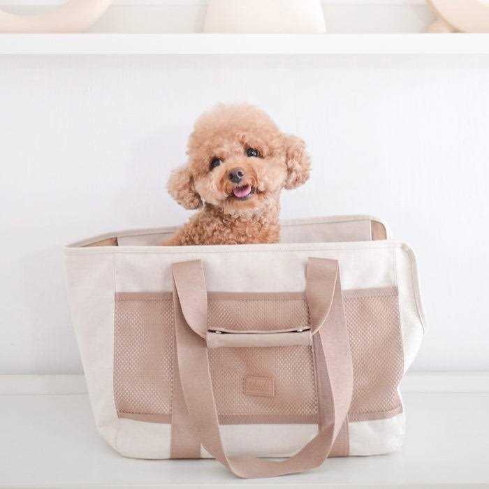 Canvas Lightweight Water Resistant Pet Carrier B296965