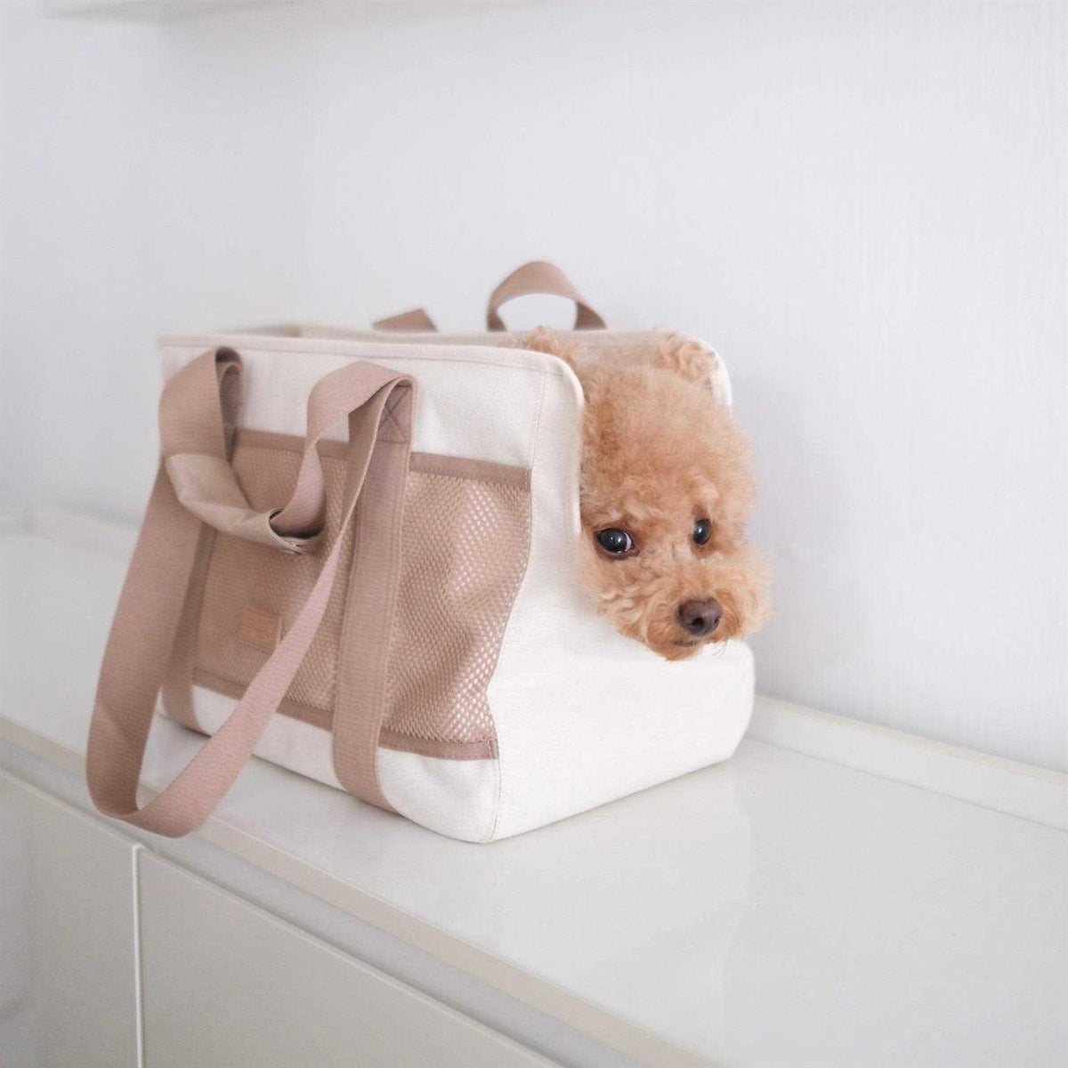 Canvas Lightweight Water Resistant Pet Carrier B296965
