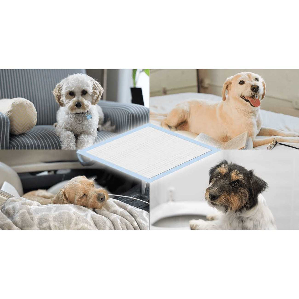 Dog and Puppy Training Pads G1887