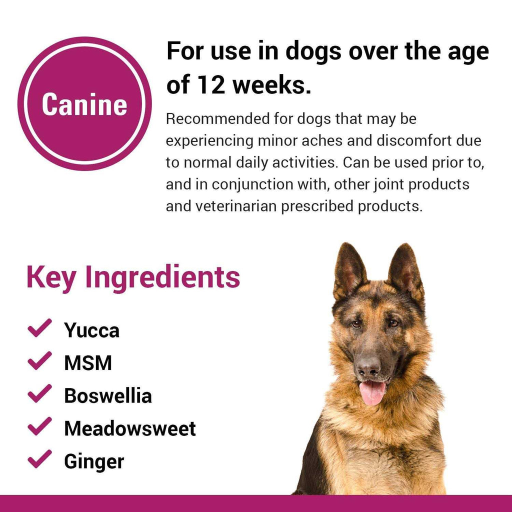 Pain Plus for Dogs E266570