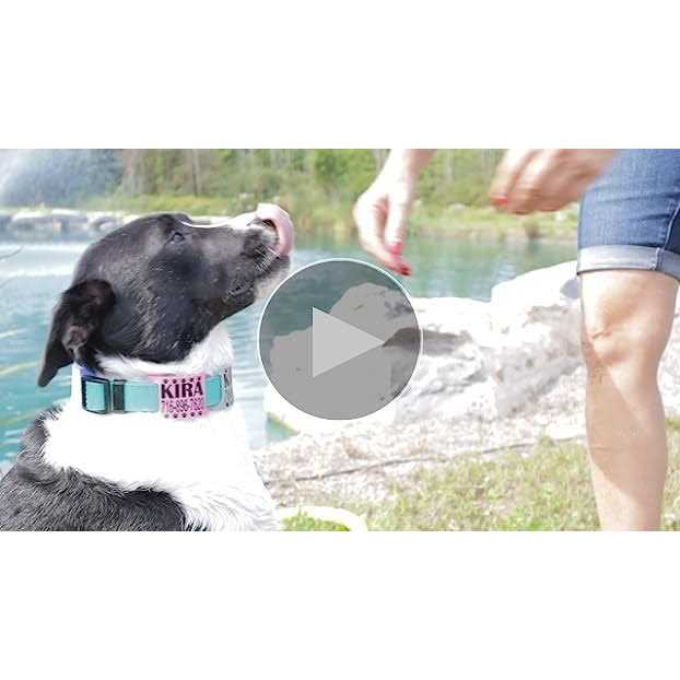 Silent Slide On Silicone Rubber Dog Collar Tag P897