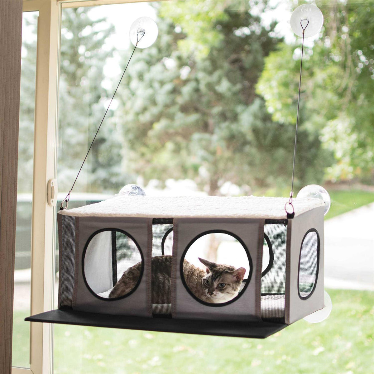 Cat Penthouse V6555