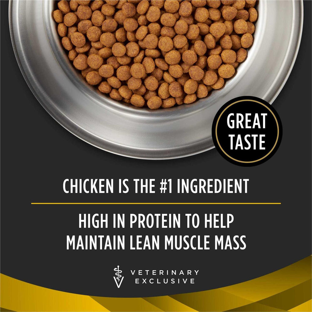 Dry Dog Food H864