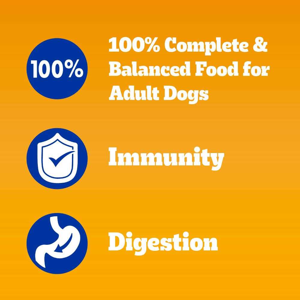 Chicken Adult Dry Dog Food B97961