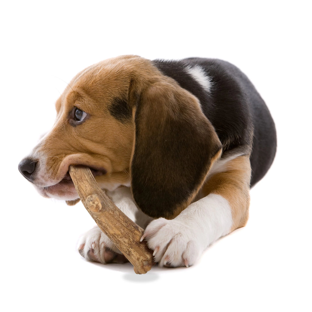 Natural Long Lasting Edible Venison Dog Chews Large 8 Count L966012
