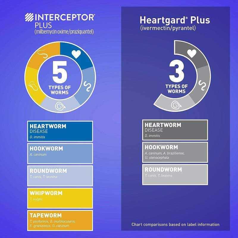 Interceptor Plus for Dogs Q3977