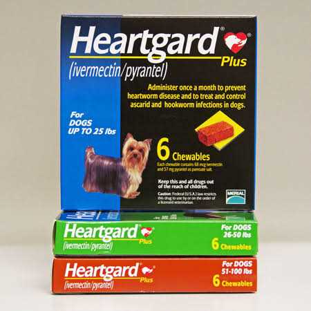 Heartgard Plus Chewables for Dogs A1951