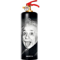 Designer Fire Extinguisher T498