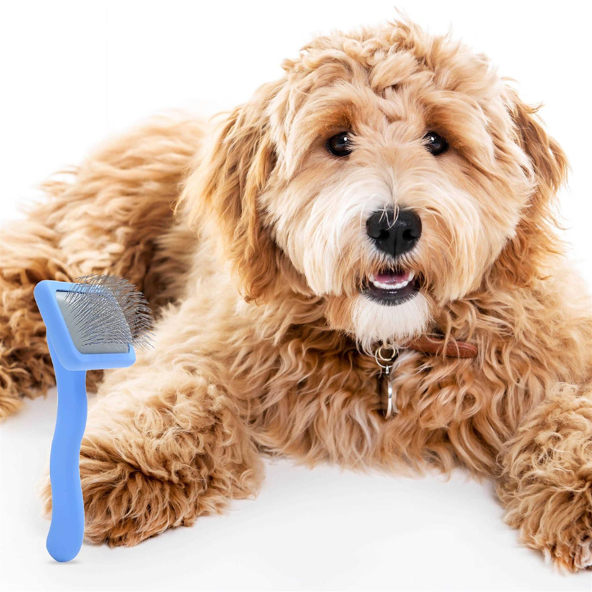 Dog Slicker Brush for Grooming Pet Hair B6133