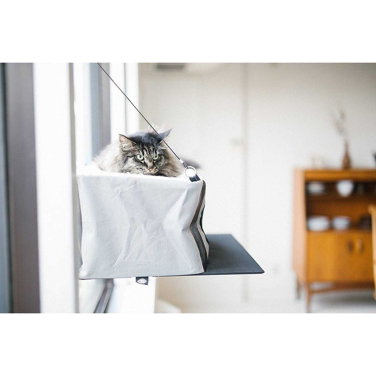 Cat Penthouse V6555