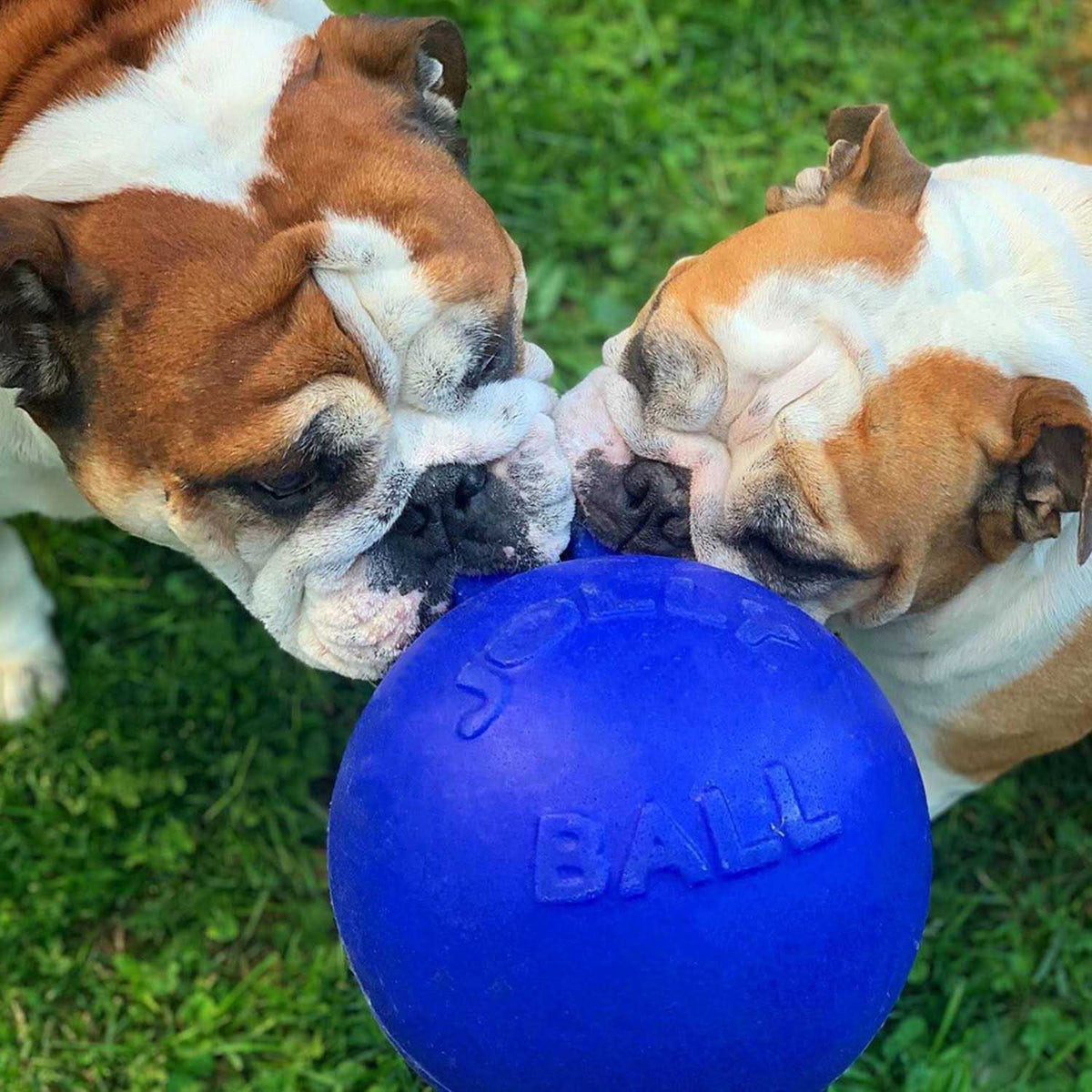 Jolly Ball U214