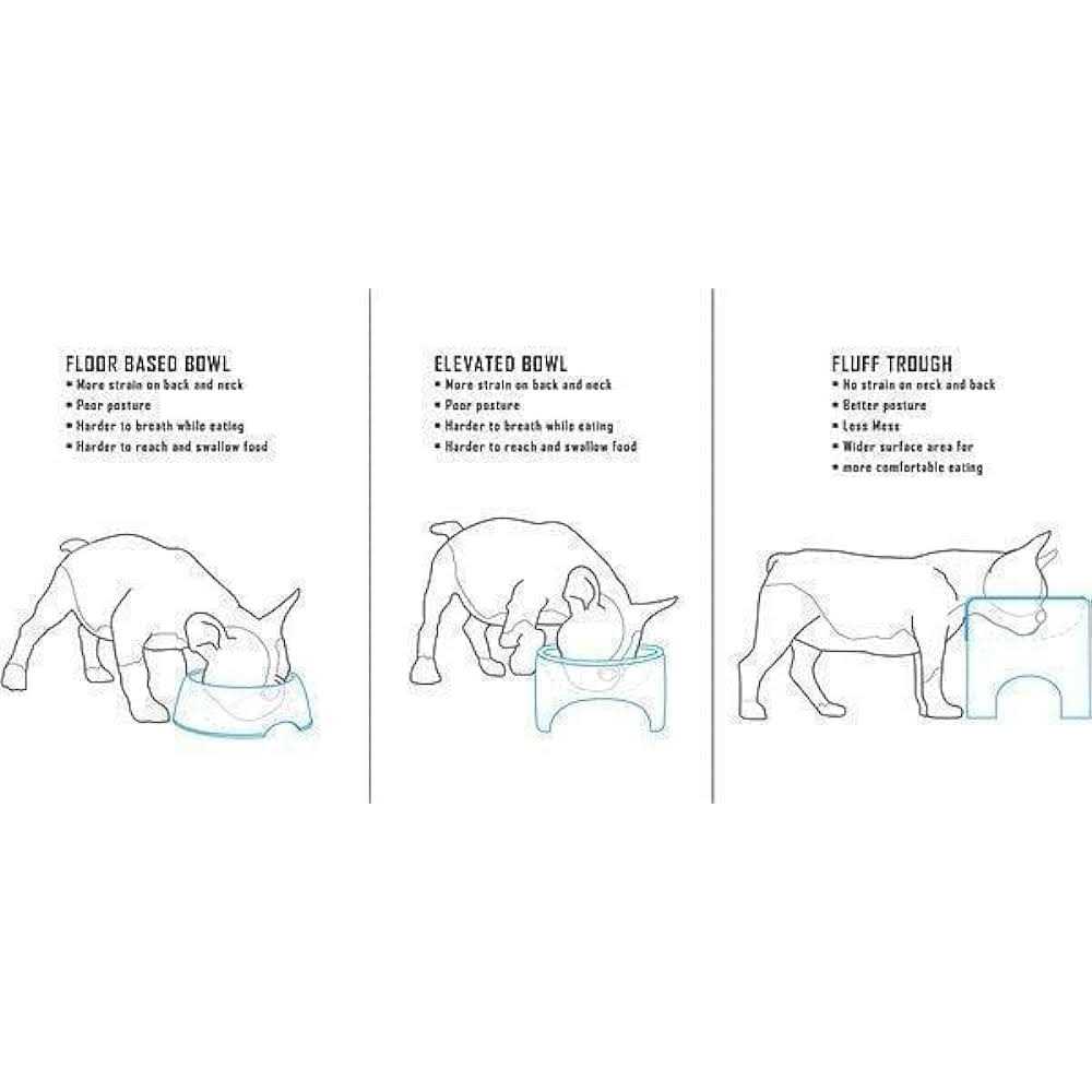 Elevated Dog & Cat Slow Feeder W569585