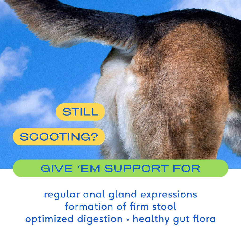 Anal Gland Supplement for Dogs R479121