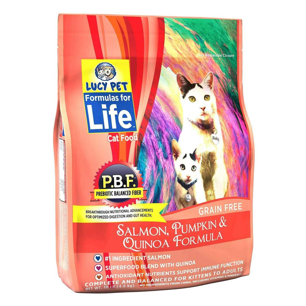 Dry Cat Food Salmon B2664