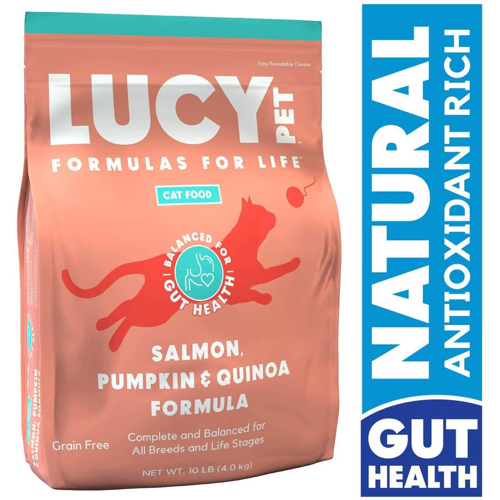 Dry Cat Food Salmon B2664