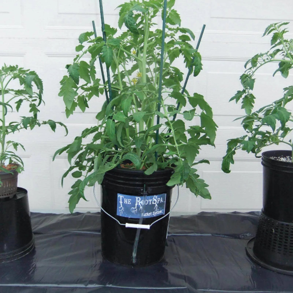 4 Pack 5 Gallon Hydroponic Bucket System Grow Kit O88628