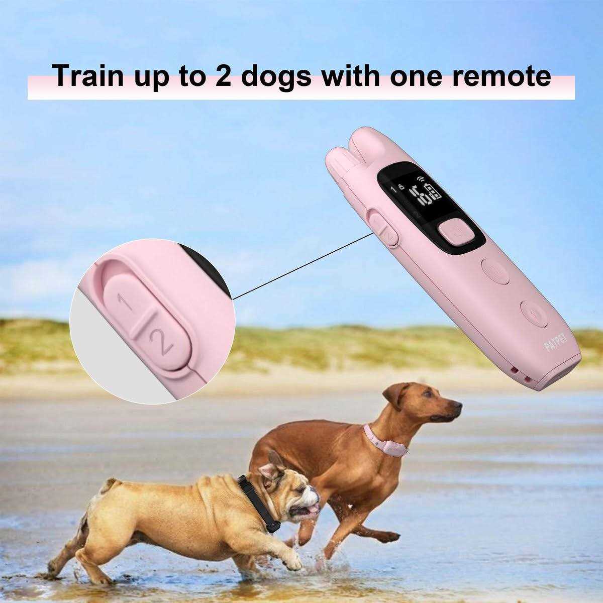 Remote Dog Training Collar I1816