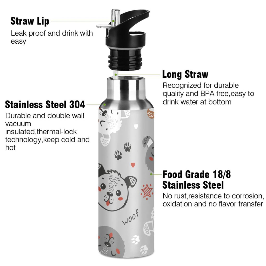 Insulated Stainless Steel Water Bottle with Straw Lid 20 oz R63634