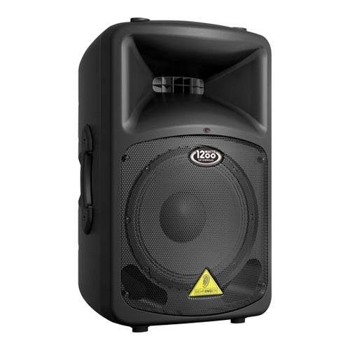 12-Inch PA Speaker L438453