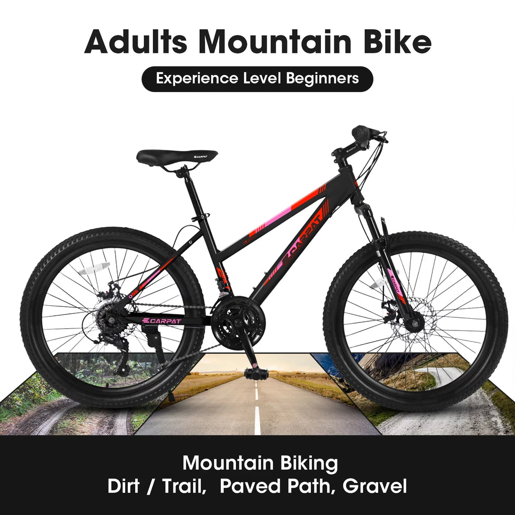 Pink 26 inch 21 Speed Dual Disc Brake Mountain Bike L476