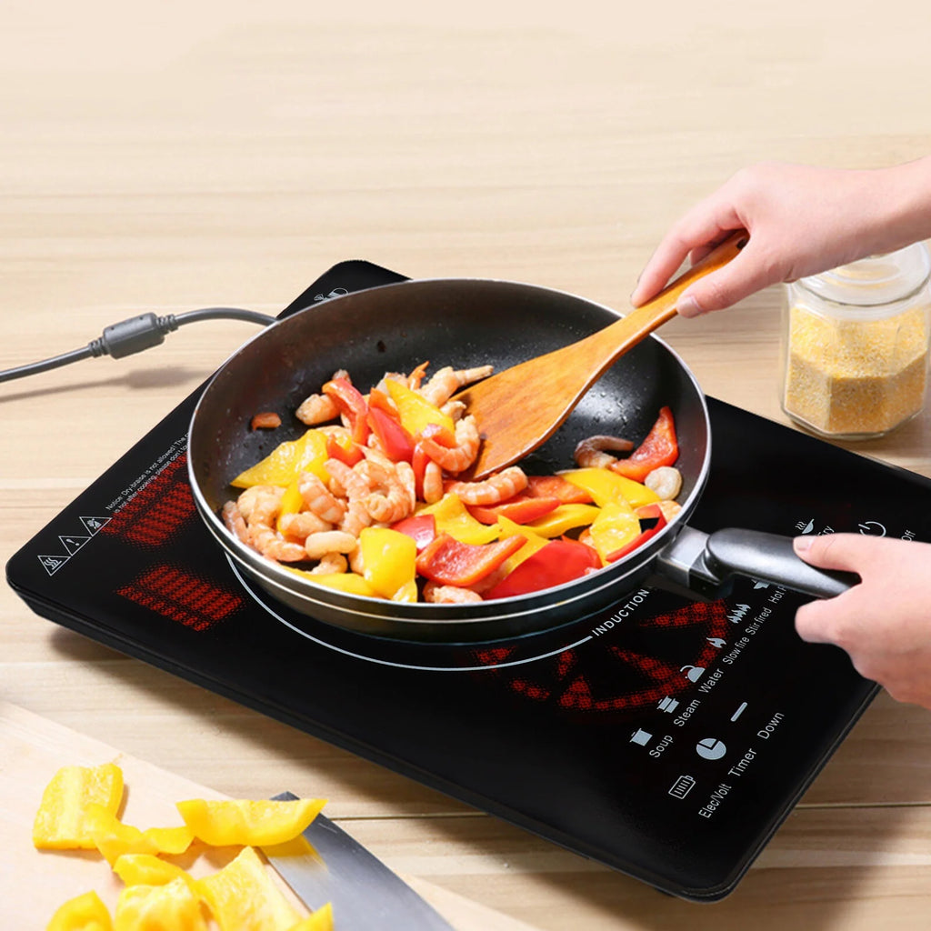 1000W Portable Induction Cooktop N164