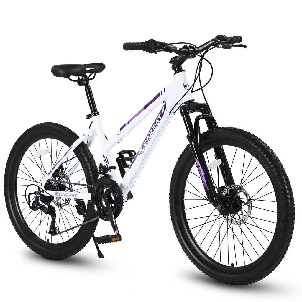 Pink 26 inch 21 Speed Dual Disc Brake Mountain Bike L476